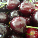 Черешня Ленинградская 