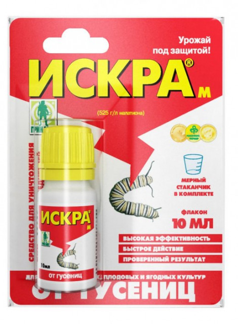 Плохая искра ока